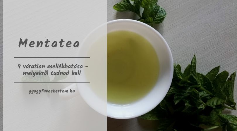 menta tea fogyás)